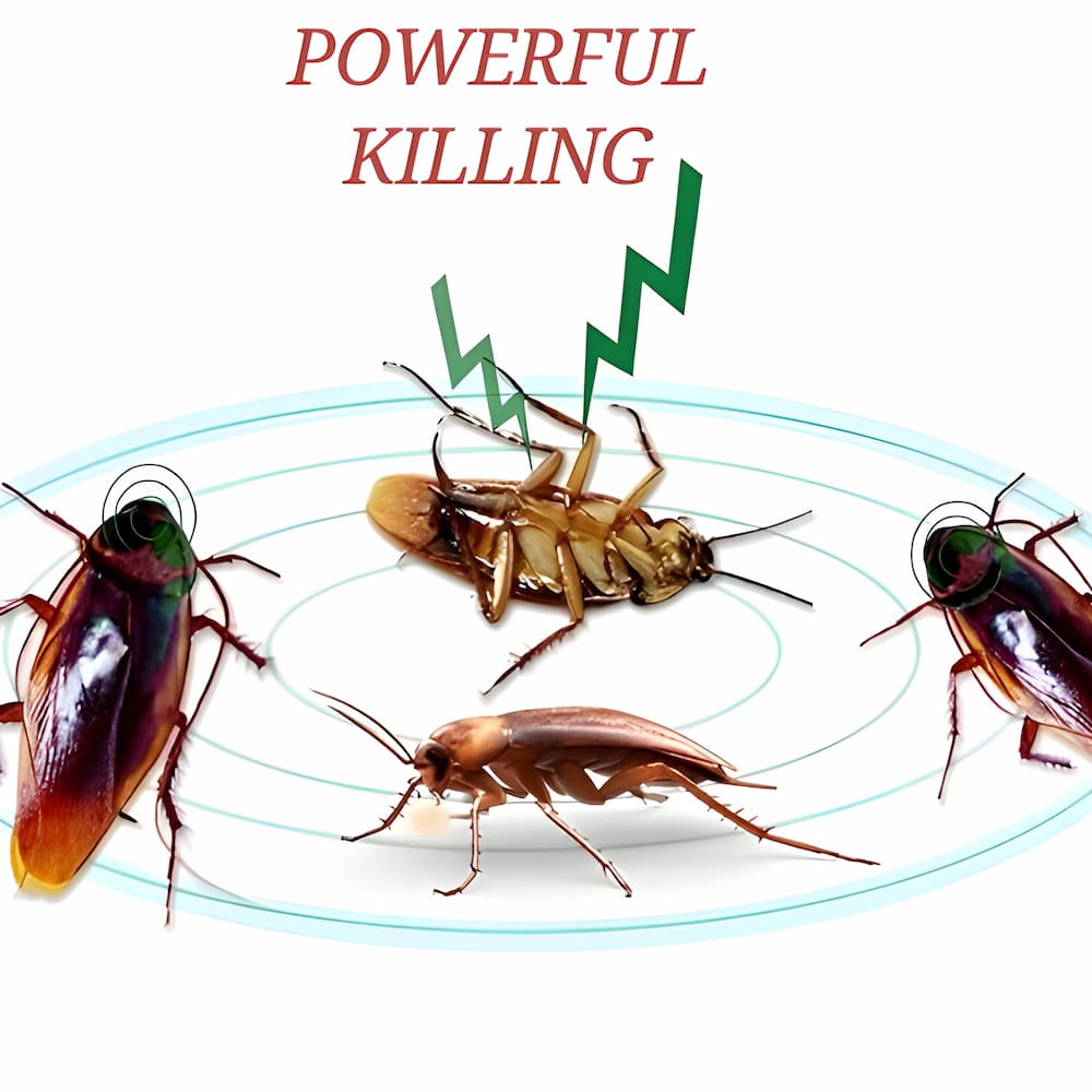 QuickCatch - Schabe Köder Station