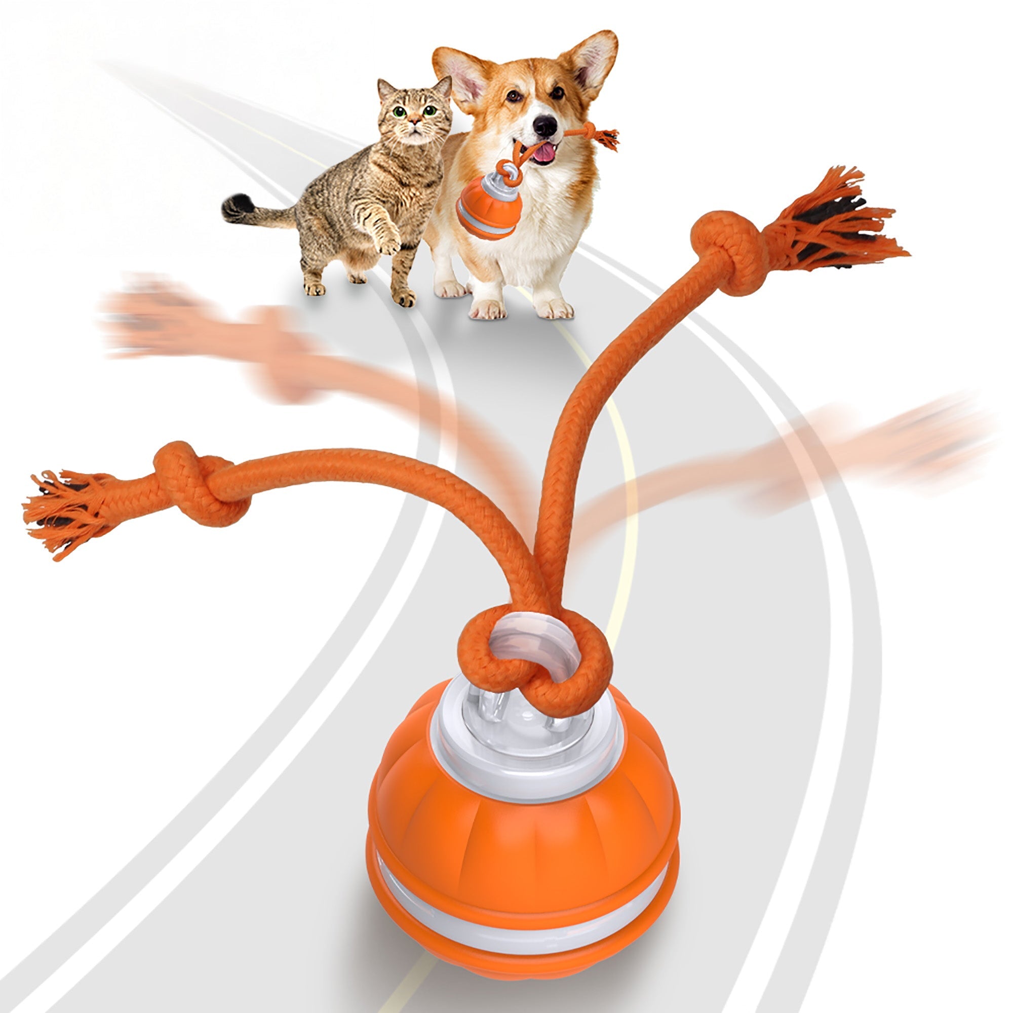 RopeBall - Lustiger bewegungsaktivierter Hundeball