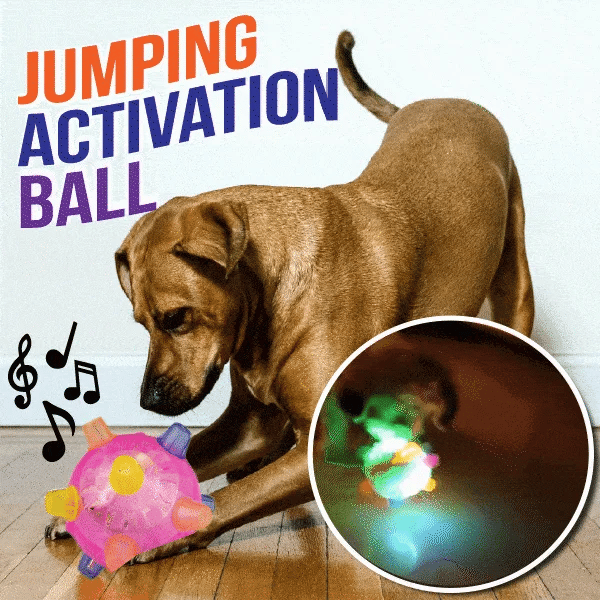 JumpBall - Springender Aktivierungsball für Hunde