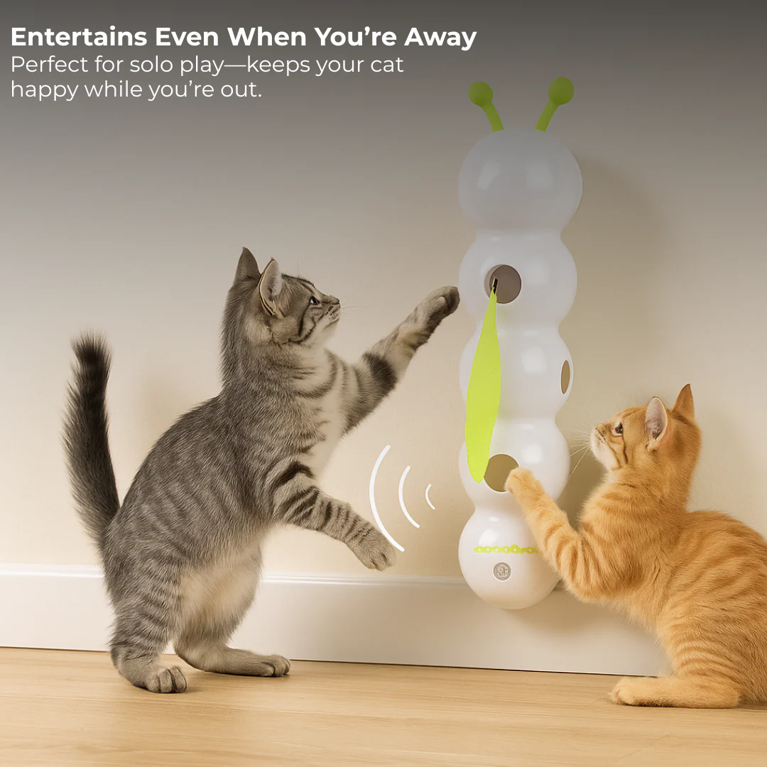 WormWhirl - Interaktives Katzenspielzeug mit Schneckenbewegung