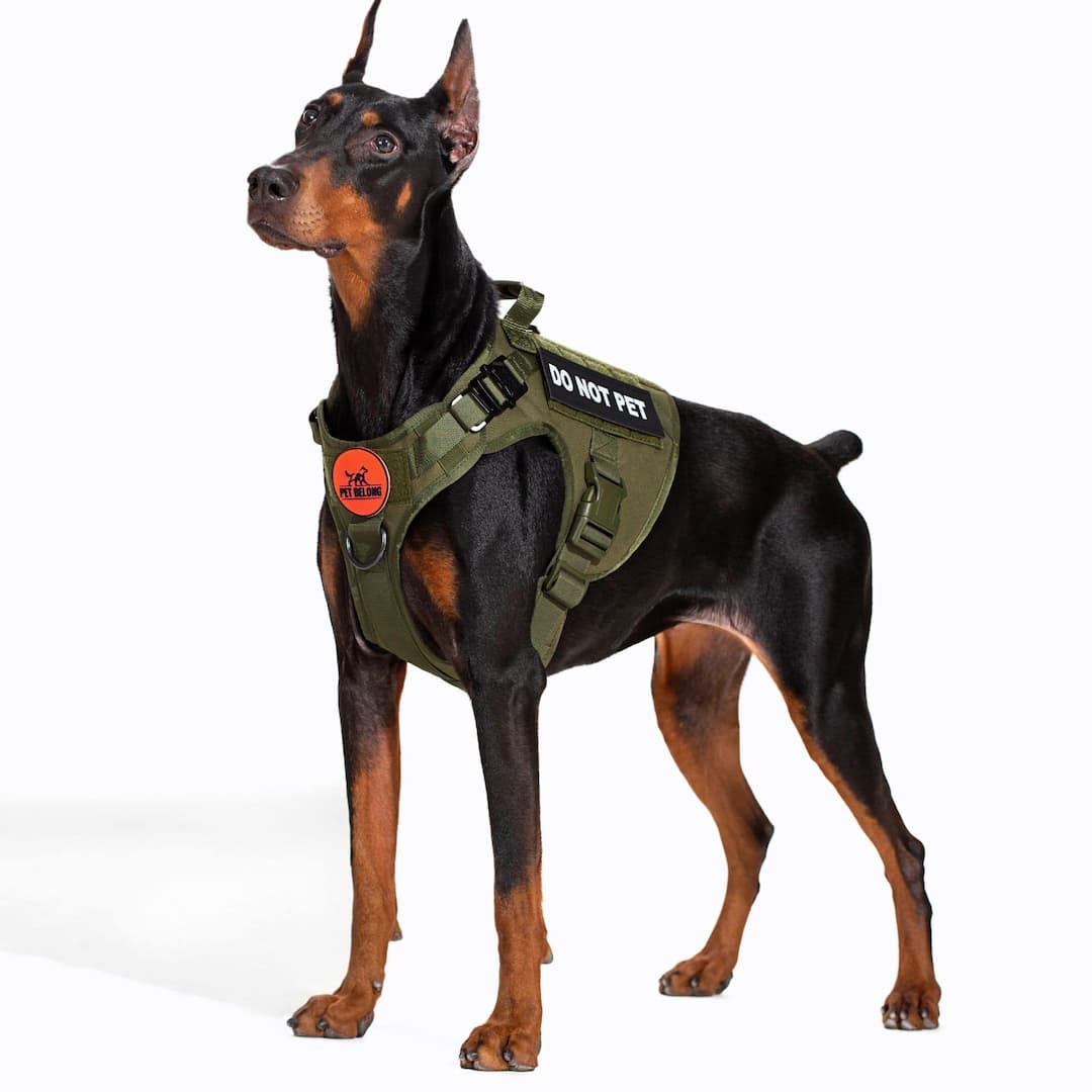 NoPull -Tactical No Pull Hundegeschirr