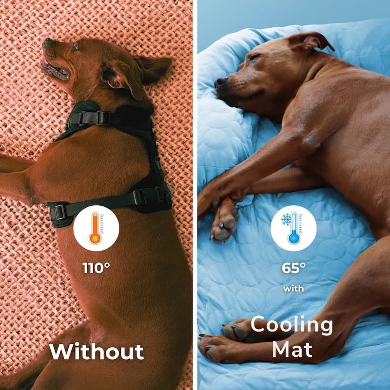 Cooling Mat - Kühlmatte für Hunde – Selbstkühlend und weich gepolstert