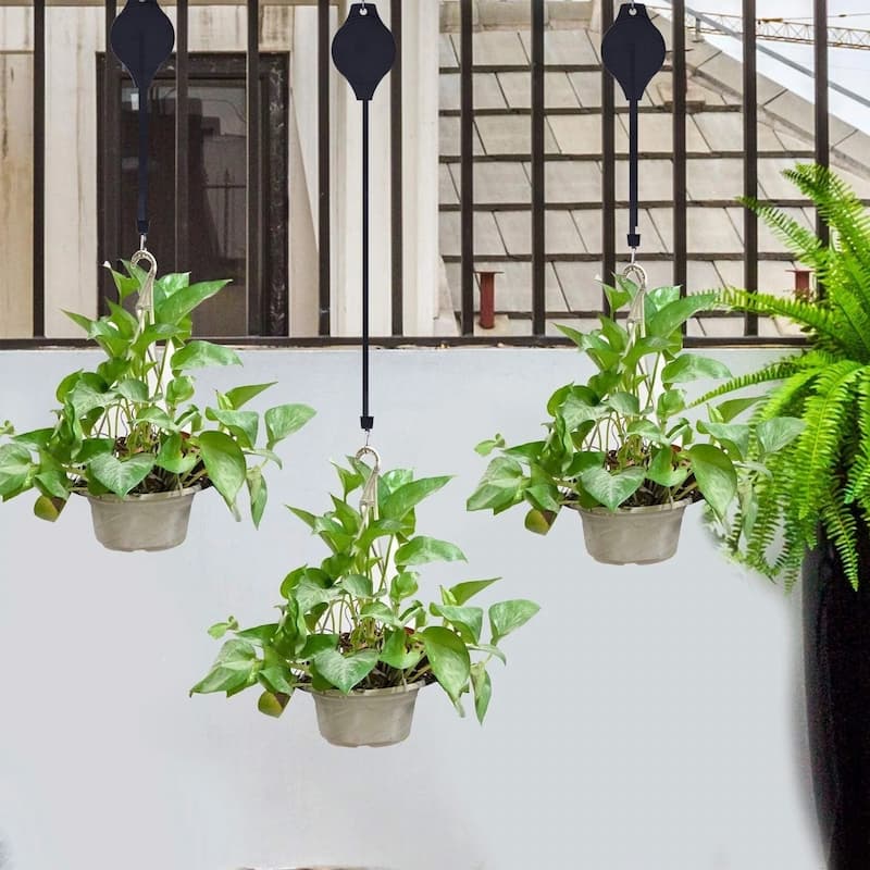 PlantHanger - Geben Sie Ihren Hängepflanzen ganz einfach Wasser!