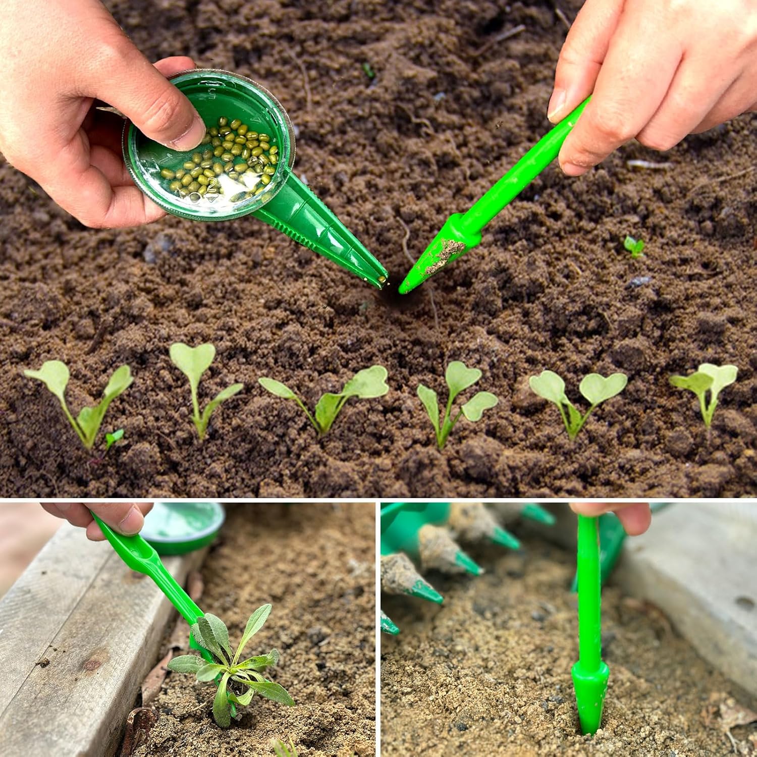 SeedPlanter - Pflanz-Dibber mit 12-Loch-Schablone – Gleichmäßige Saat leicht gemacht
