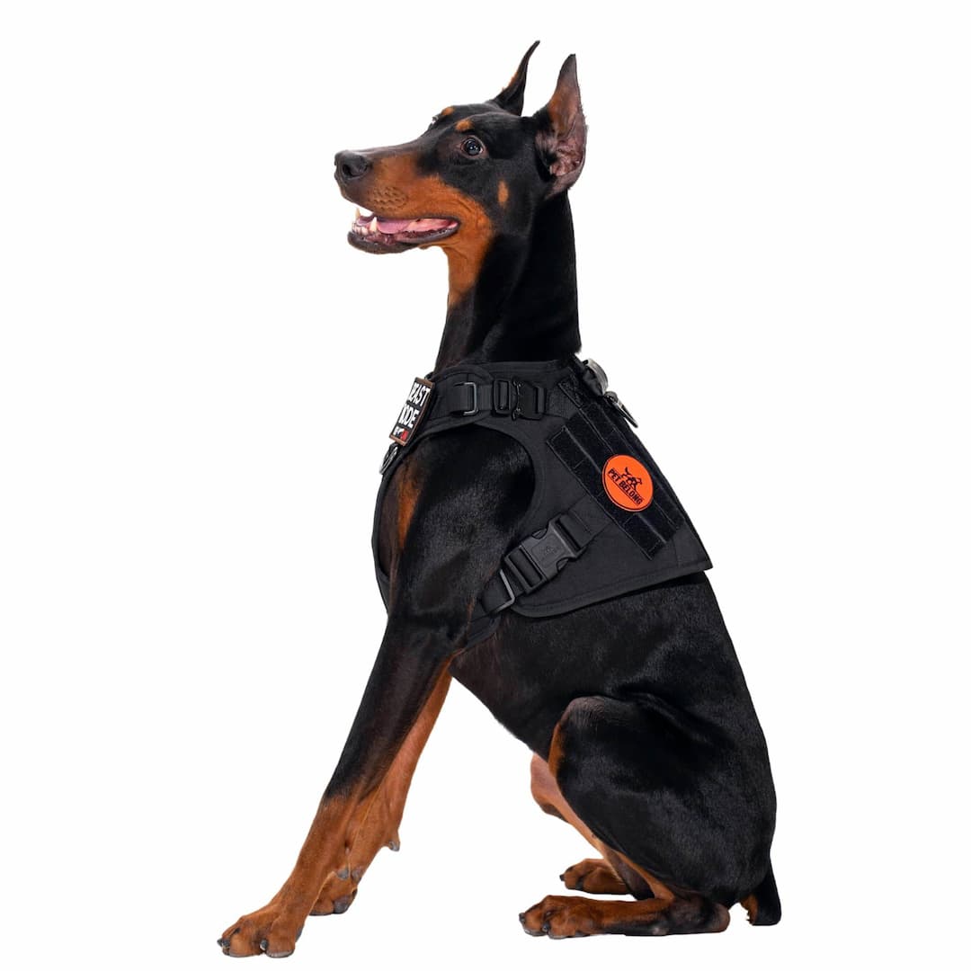 NoPull -Tactical No Pull Hundegeschirr