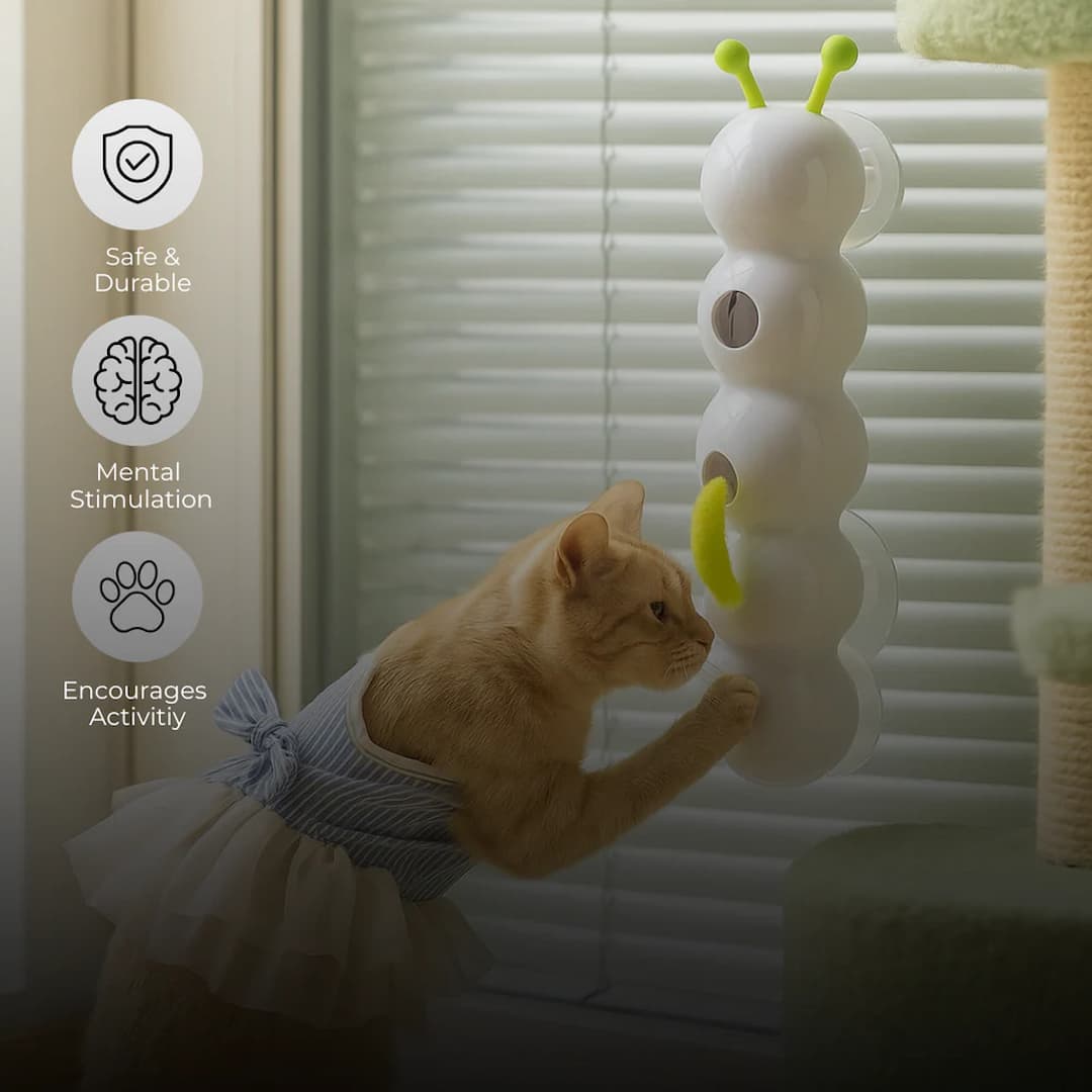 WormWhirl - Interaktives Katzenspielzeug mit Schneckenbewegung