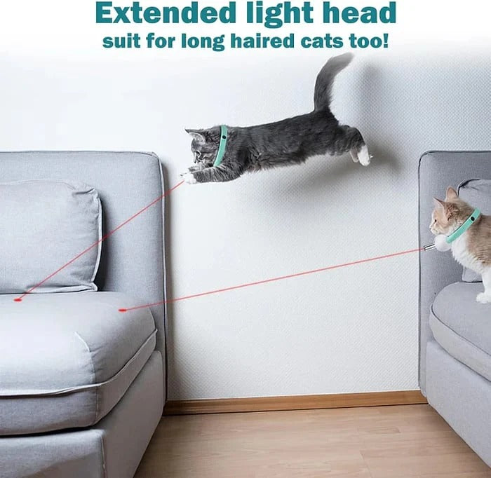 Automatisches Katzen-Laserhalsband