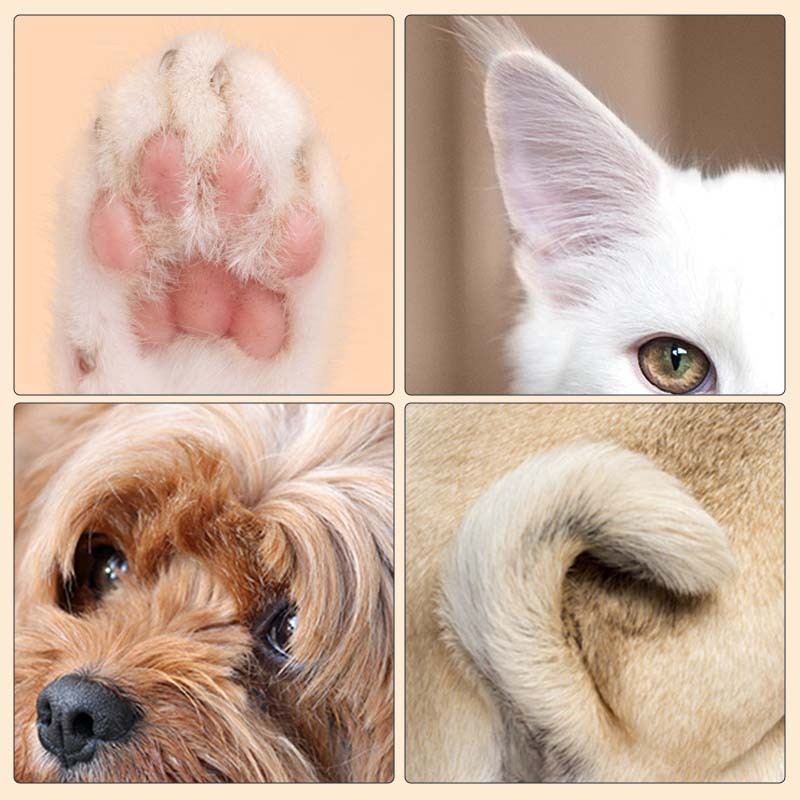 Paw Trimmer - Präzisionstrimmer – Verwandeln Sie die Körperpflege in entspannte, schnelle und selbstbewusste Momente