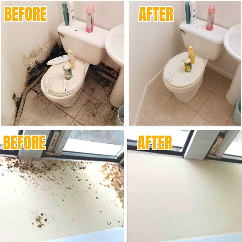 MoldBlast - Schimmel schnell entfernen für ein sichereres, frischeres Zuhause