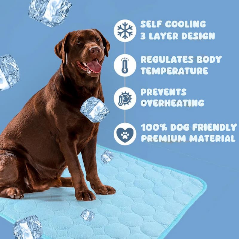 Cooling Mat - Kühlmatte für Hunde – Selbstkühlend und weich gepolstert