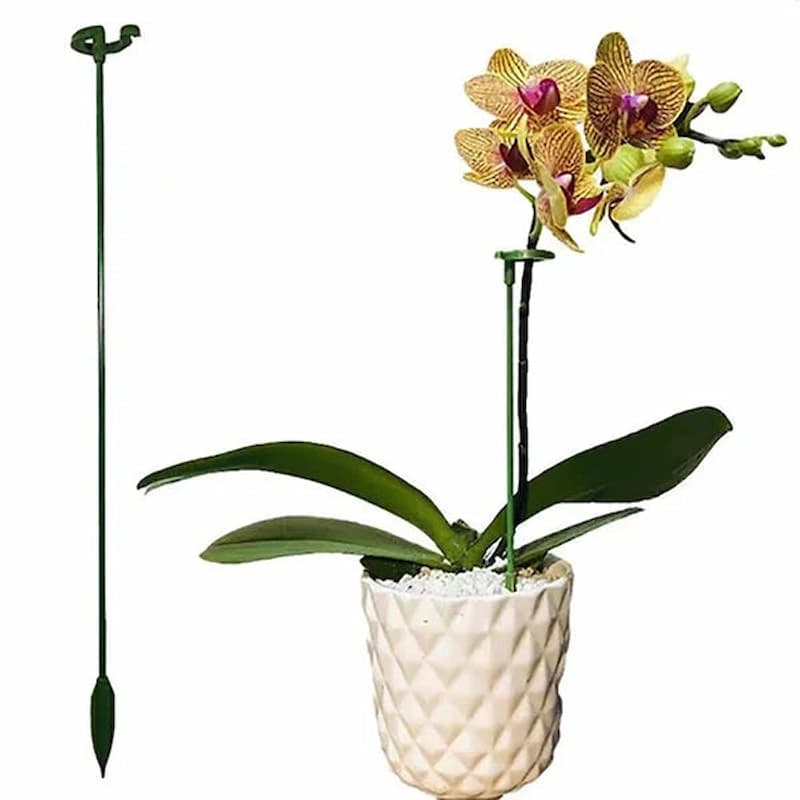 OrchidSupport