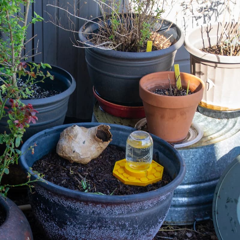 WaterBee - Bienen-Wasserstelle für Ihre Gärten