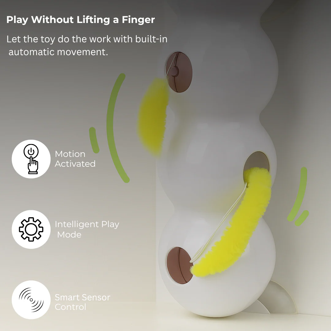 WormWhirl - Interaktives Katzenspielzeug mit Schneckenbewegung