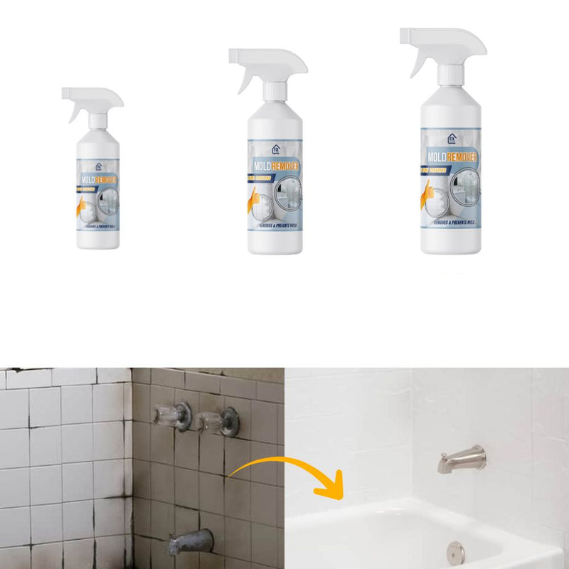 MoldBlast - Schimmel schnell entfernen für ein sichereres, frischeres Zuhause