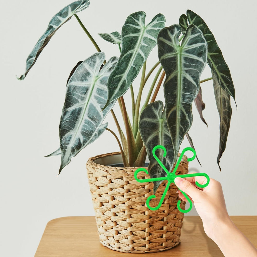 CompactPlant - Pflanzenstiel-Stabilisator-Set – Für gesundes Wachstum & sicheren Stand