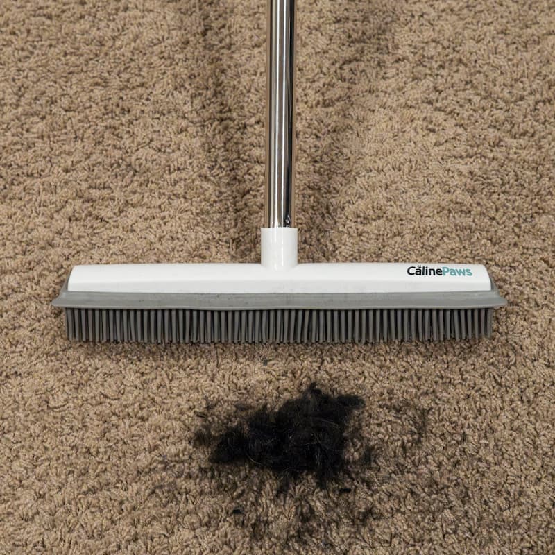 CarpetBrush - Ein Muss, wenn Sie Haustiere haben! - Frest