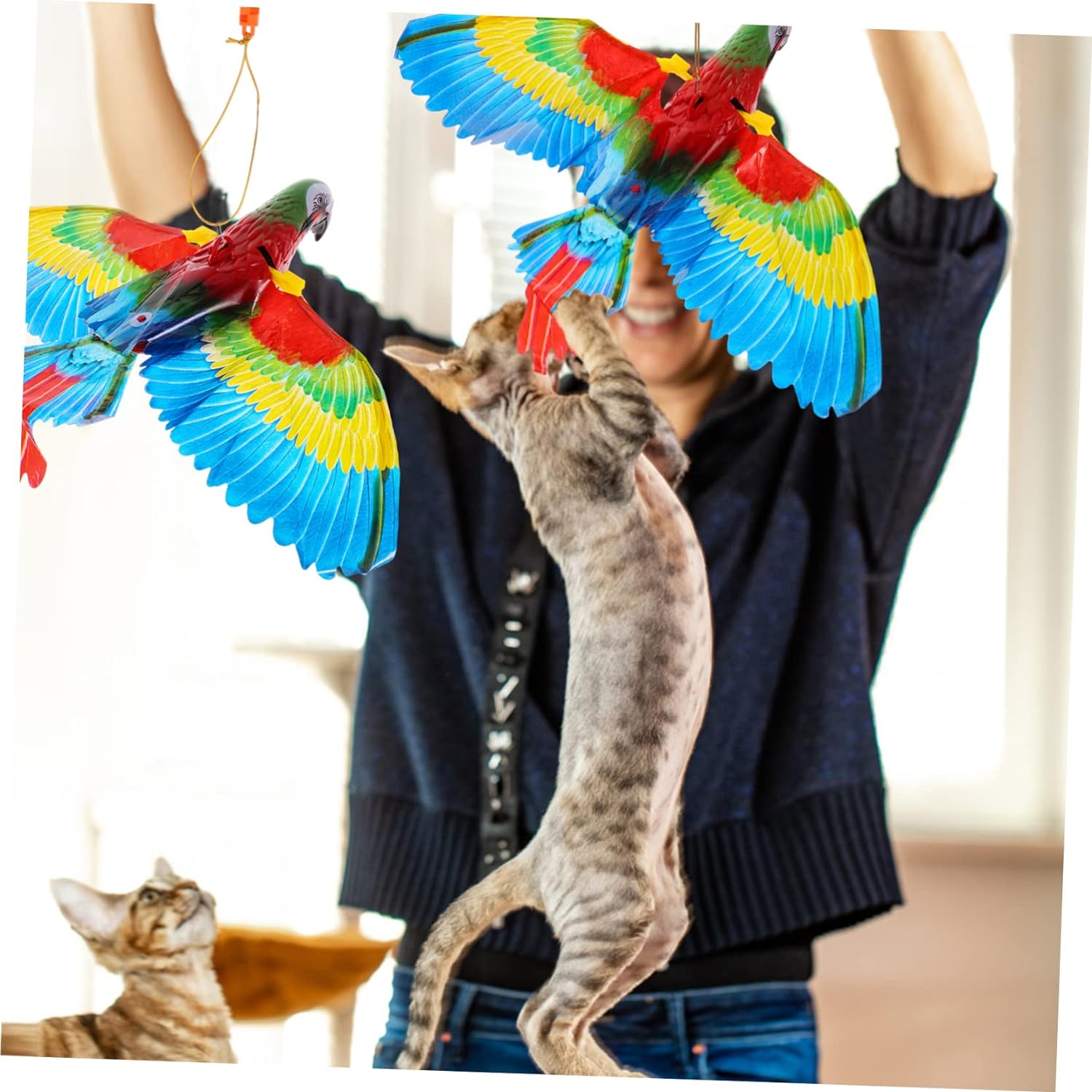 CatBird - Interaktives Katzenspielzeug für Wohnungskatzen - Frest