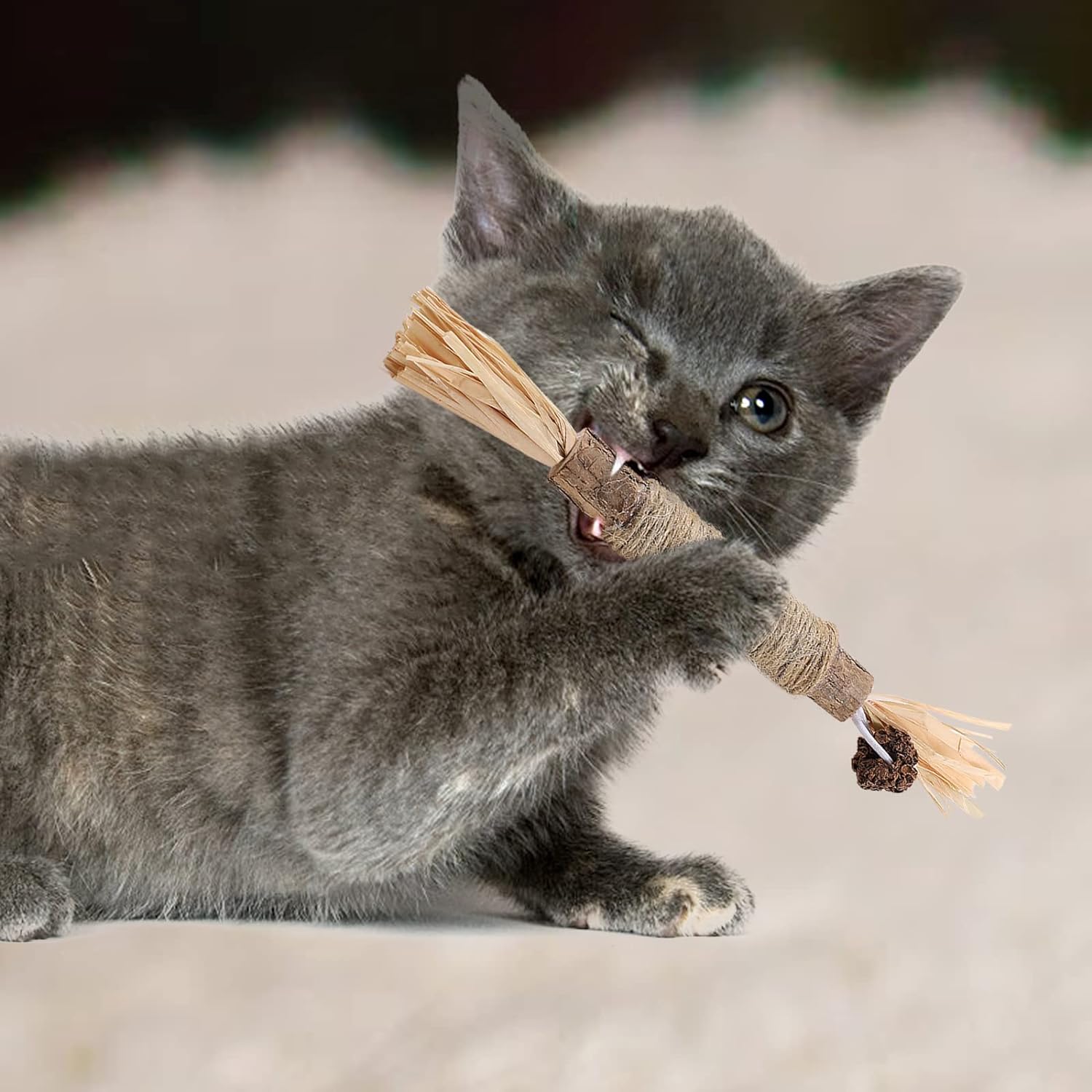 CatChew - Zahnpflege - Spielzeug Für Katzen - Frest