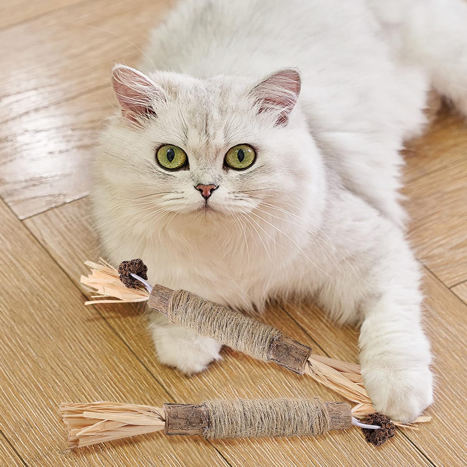 CatChew - Zahnpflege - Spielzeug Für Katzen - Frest