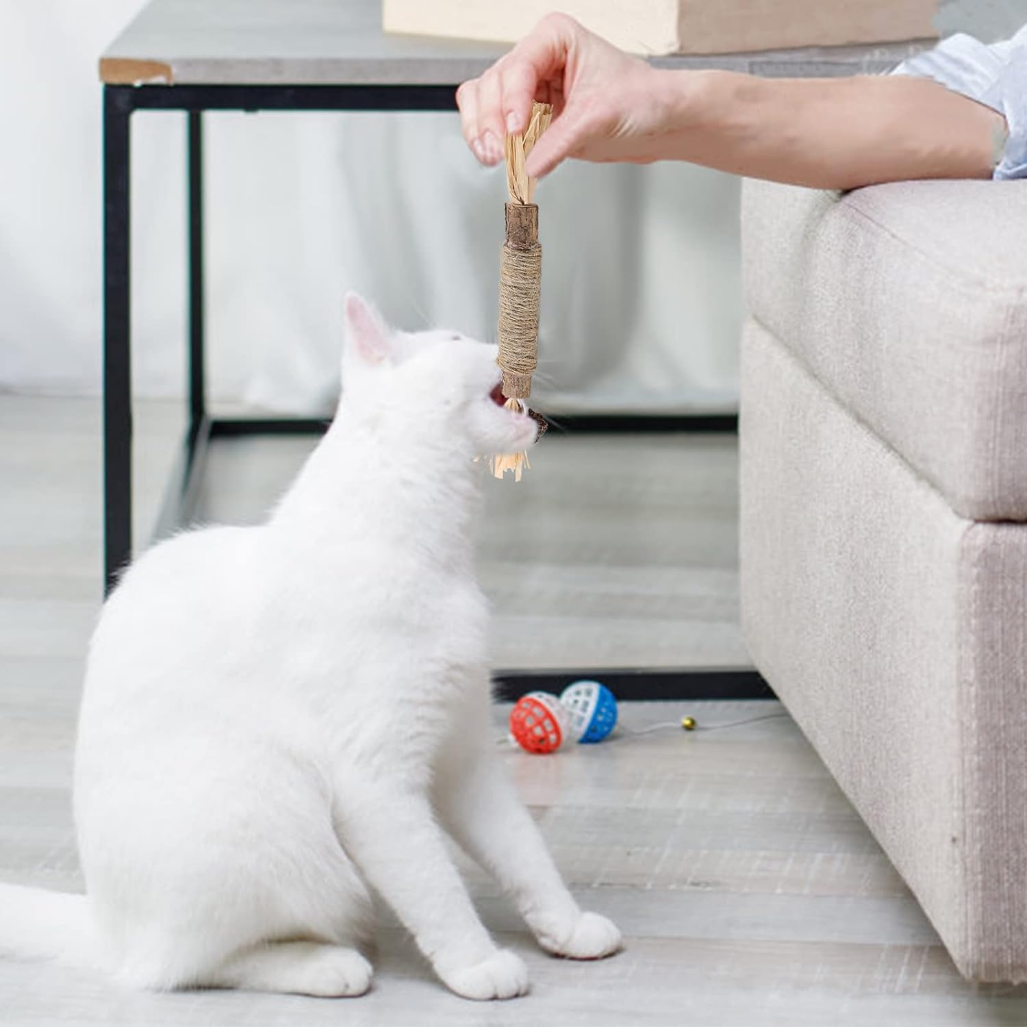CatChew - Zahnpflege - Spielzeug Für Katzen - Frest