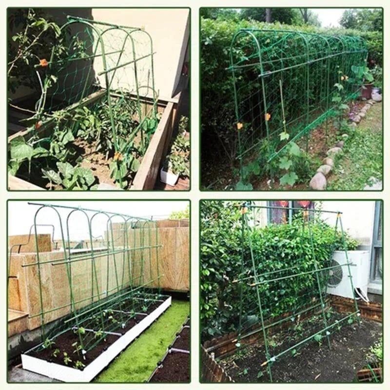 ConnectBuckle - Frest