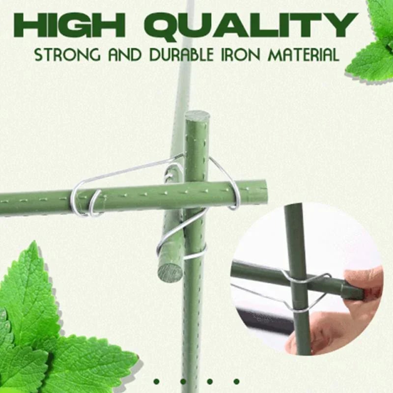 ConnectBuckle - Frest