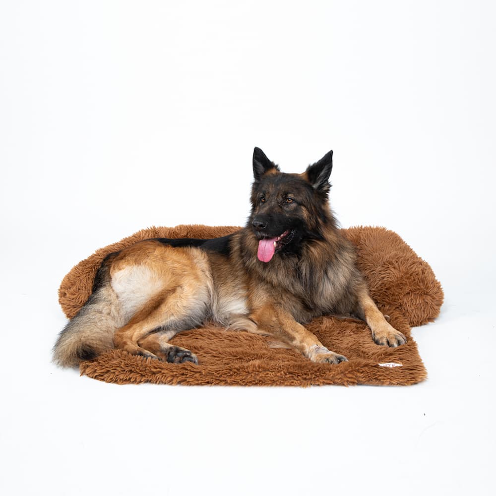 CouchBed - Hundebett Sofaschutz - Frest