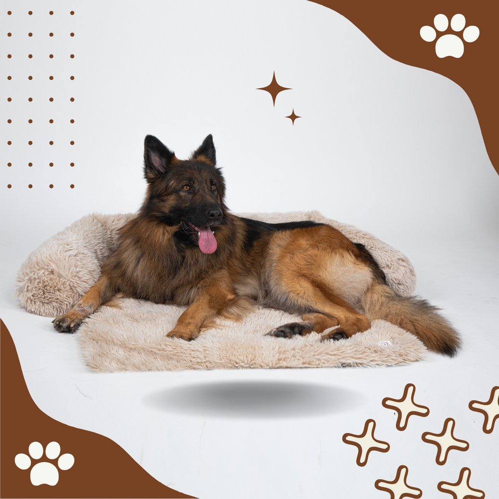 CouchBed - Hundebett Sofaschutz - Frest