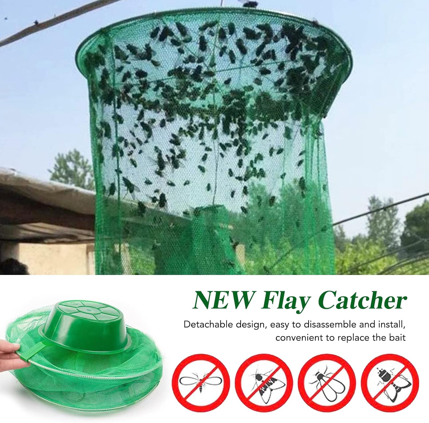 FlyCatcher - Frest