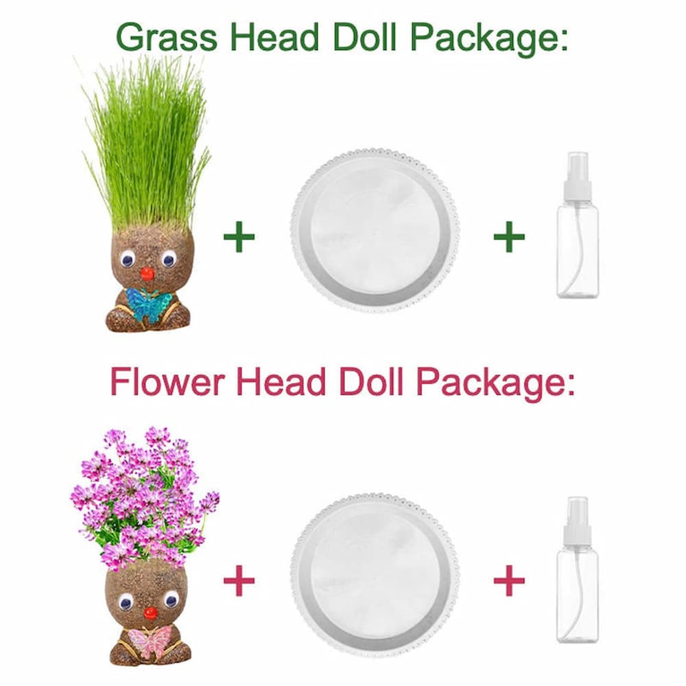 GrassHead - Frest