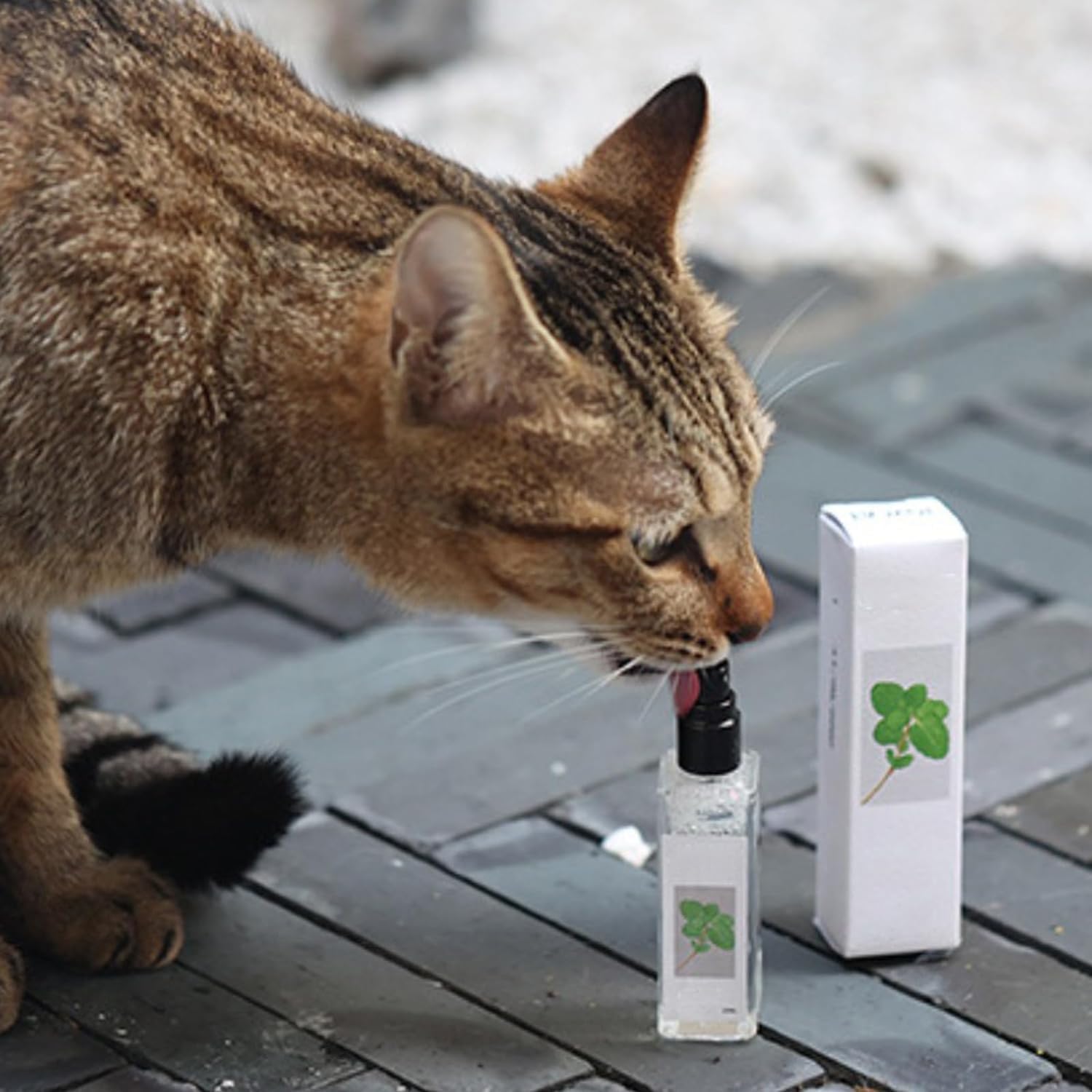 JoyCat - Kräuterspray für Katzen - Frest