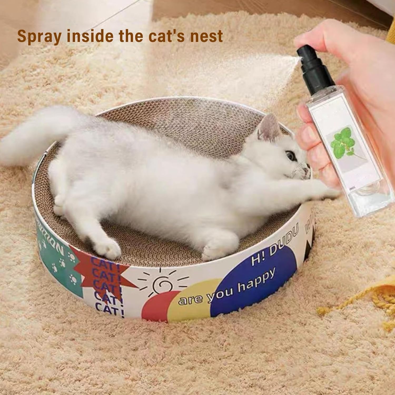 JoyCat - Kräuterspray für Katzen - Frest