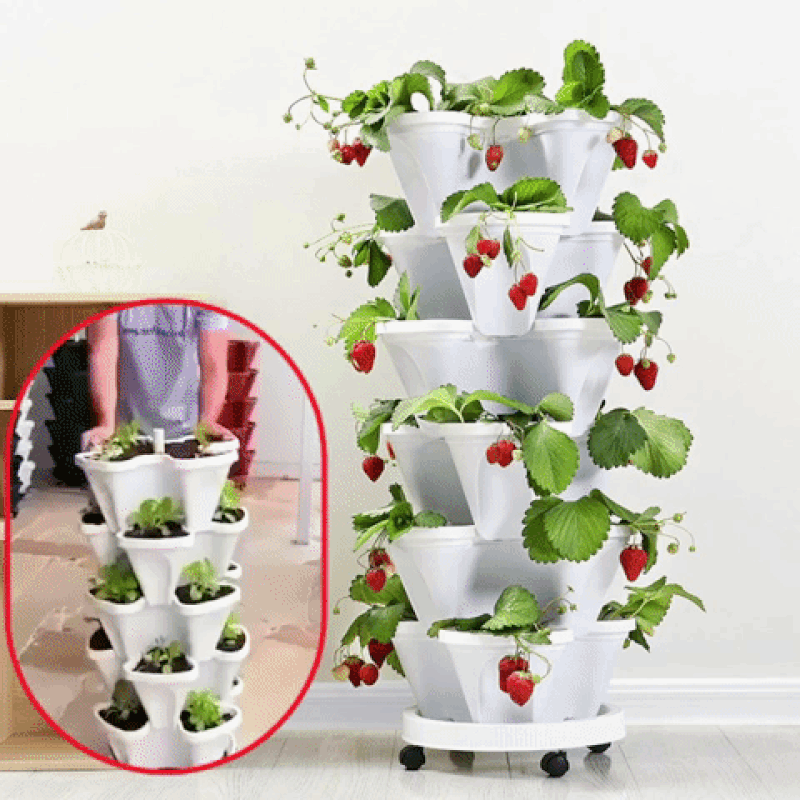 PlantTower - Lassen Sie Ihren grünen Daumen arbeiten! - Frest