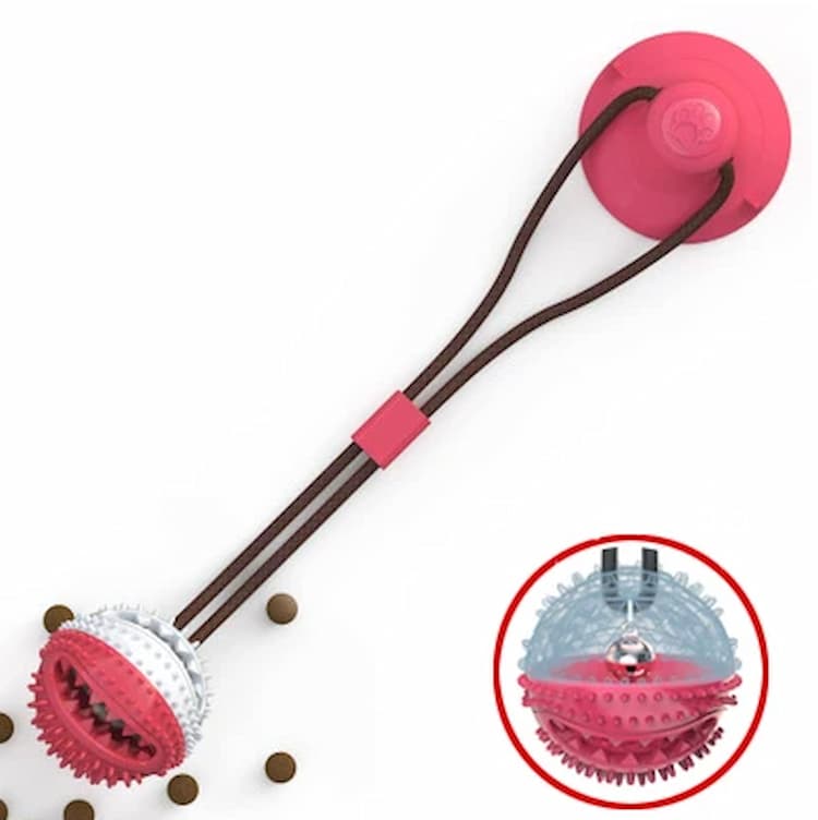 SaugnapfChallenge - Spielspass Mit Snacks - Frest