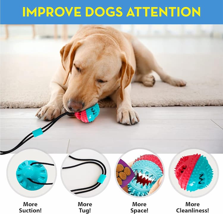 SaugnapfChallenge - Spielspass Mit Snacks - Frest