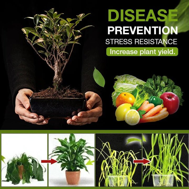 SoilActivator - 3-Tage-Aktivator für Gartenerde - Frest