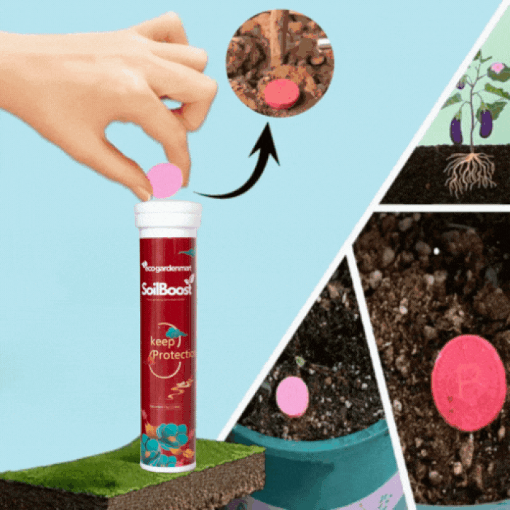 SoilBoost - Pflanzen umweltfreundlich wieder zum Leben erwecken! - Frest