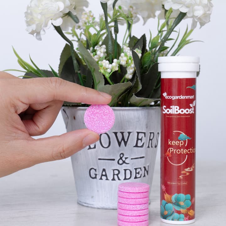SoilBoost - Pflanzen umweltfreundlich wieder zum Leben erwecken! - Frest