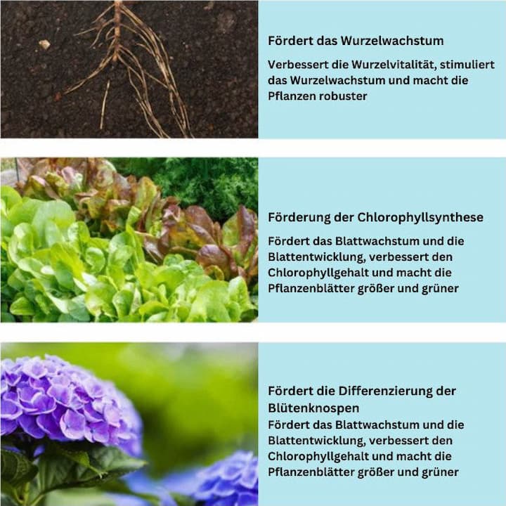 SoilBoost - Pflanzen umweltfreundlich wieder zum Leben erwecken! - Frest