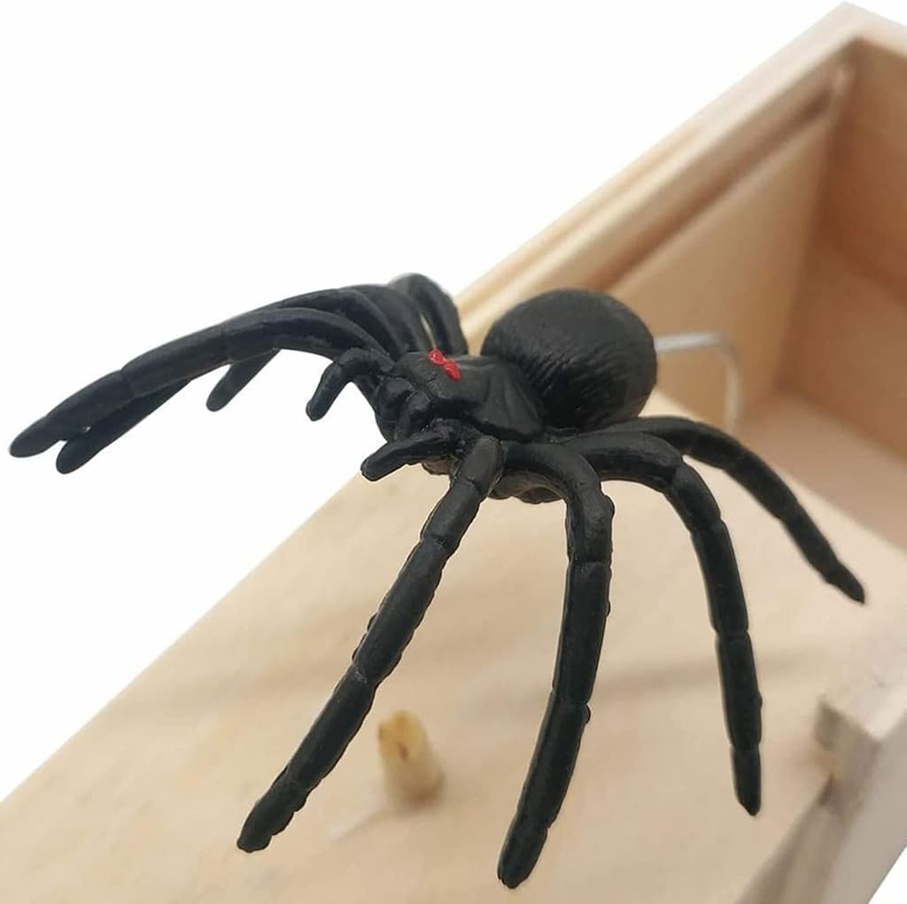 Spider - In - A - Box - Frest