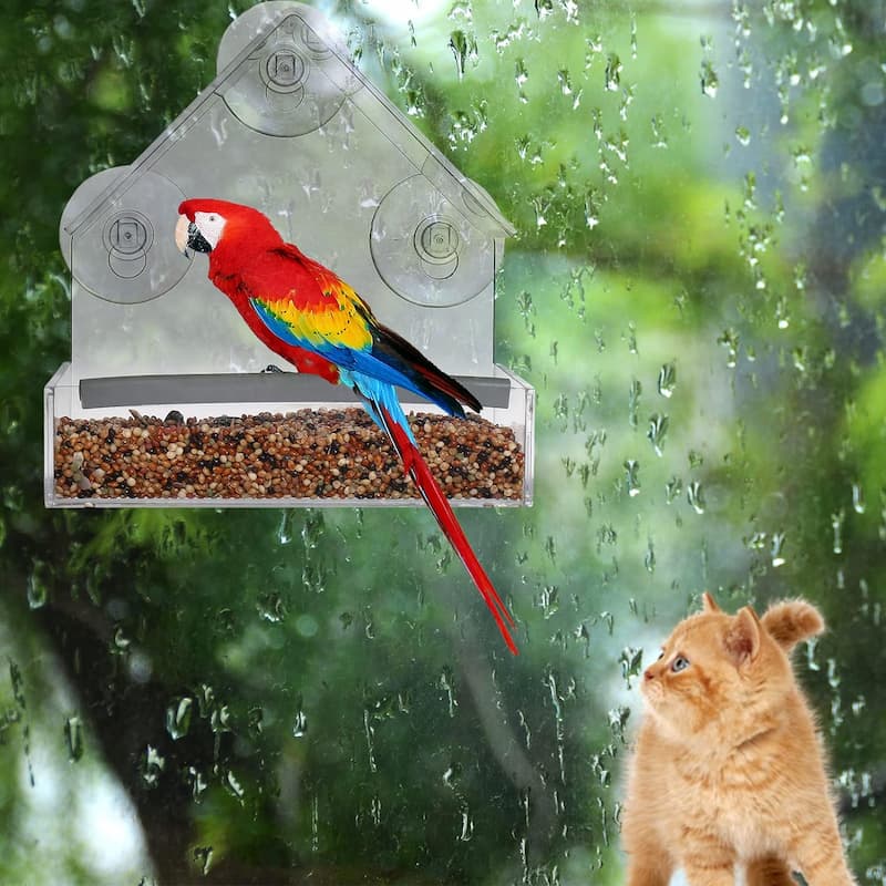 WindowFeeder - Bringt die Natur in Ihr Haus! - Frest