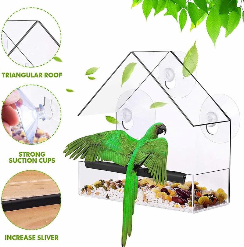WindowFeeder - Bringt die Natur in Ihr Haus! - Frest