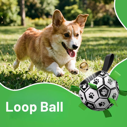 Loop Ball - Ein Fußball für Hunde, der sich leicht mit den Zähnen greifen lässt