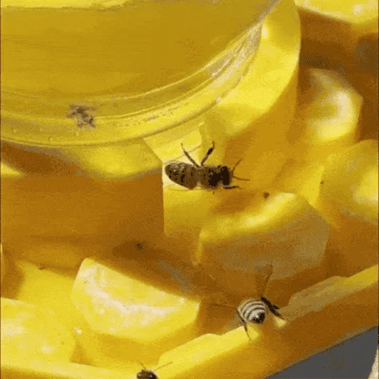 WaterBee -  Bienen-Wasserstelle für Ihre Gärten