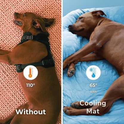 Cooling Mat - Kühlmatte für Hunde – Selbstkühlend und weich gepolstert