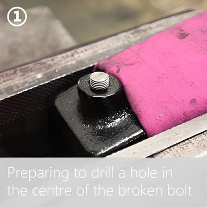 BoltBuster - 20-teiliges Bolzenausdreher-Set