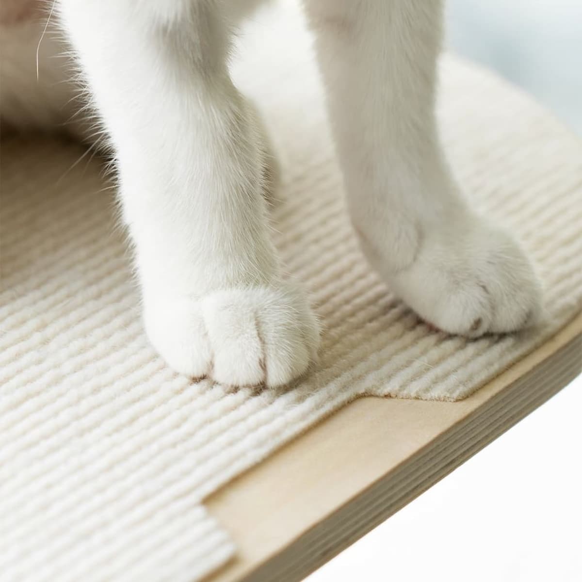 CatHeaven -  Katzenfensterregale