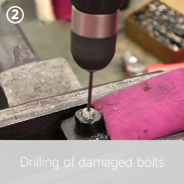 BoltBuster - 20-teiliges Bolzenausdreher-Set