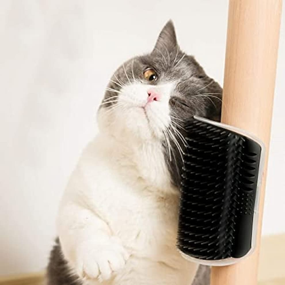 ScratchBlock - Schenken Sie Ihrer Katze ultimative Freude, wenn sie sich kratzen kann, wann sie will!