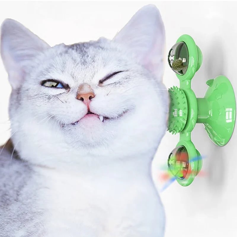 NipSpiner - Füllen Sie ihn mit Katzenminze und beobachten Sie, wie sich Ihre Katze amüsiert